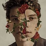 SHAWN-MENDES-VINYL-875-Vinyl