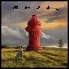 SIGNALS-LTD-EDT-1LP-PICTURE-DISC-4-Vinyl