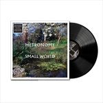 SMALL-WORLD-VINYL-32-Vinyl