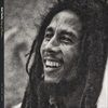 SONGS-OF-FREEDOM-THE-ISLAND-YEARS-LTD-3CD-151-CD