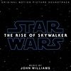 STAR-WARS-THE-RISE-OF-SKYWALKER-73-Vinyl