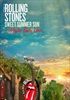 SWEET-SUMMER-SUN-HYDE-PARK-LIVE-DVD-2751-DVD