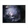 SZNZ-Winter-6-Vinyl