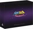 Saint-Seiya-Les-Chevaliers-du-Zodiaque-Chapitre-Hades-Le-Sanctuaire-DVD-F