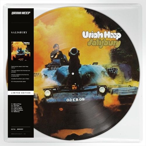 Image of Salisbury(Limited Edition Picture Disc)