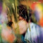 Sam-Amidon-127-CD