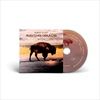 Saving-Grace-82-CD