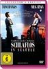 Schlaflos-in-Seattle-3518-DVD-D