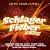Schlager-Fieber-2025Die-Hits-des-Jahres-122-CD