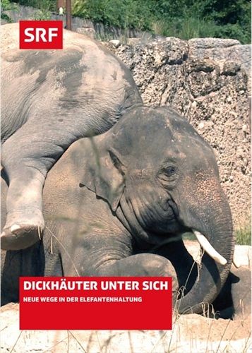 Jetzt bestellen!