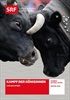 Schweiz-aktuell-extra-Kampf-der-Koeniginnen-997-DVD-D