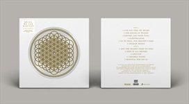 Sempiternal-10th-Anniversary-Picture-Disc-6-Vinyl
