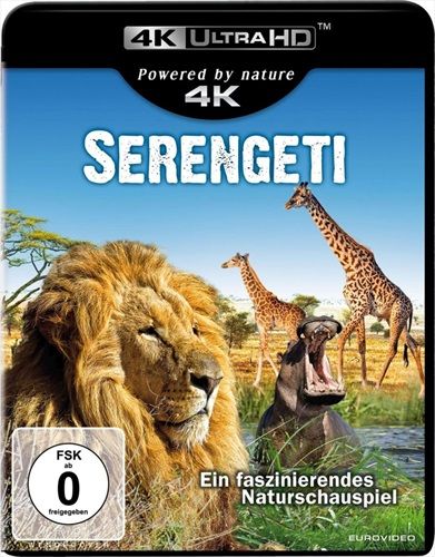 Jetzt bestellen!