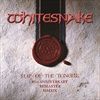 Slip-Of-The-Tongue-2019-Remaster-7016-Vinyl
