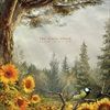 Slow-Decay-424-CD