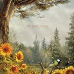 Slow-Decay-424-CD