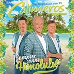 Sommer-Sonne-Honolulu-306-CD