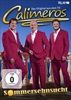 Sommersehnsucht-9599-DVD