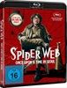 Spider-Web-Once-Upon-A-time-in-Seoul-Blu-ray-D