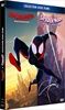 SpiderMan-New-Generation-Across-the-SpiderVerse-DVD-F