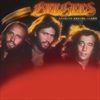 Spirits-Having-Flown-Vinyl-75-Vinyl