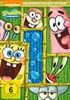 SpongeBob-Die-komplette-1Season-439-DVD-D
