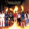 Street-Survivors-21-Vinyl