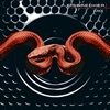 Suende-3912-CD