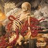Suffer-Become-Standard-CD-Jewelcase-7-CD