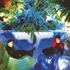 Sulk-616-CD