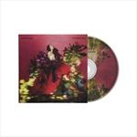 Superbloom-8-CD
