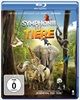 Symphonie-der-Tiere-BR-4333-Blu-ray-D