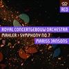 Symphony-No-7-in-E-Minor-2636-SACD