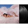 TEENAGE-DREAM-13TH-ANNIVERSARY-2LP-21-Vinyl