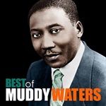 THE-BEST-OF-MUDDY-WATERS-VINYL180GRDC-1716-Vinyl