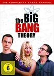 THE-BIG-BANG-THEORY-STAFFEL-1-1530-DVD-D
