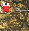 THE-INVISIBLE-BAND-D2C-INDIE-EXKL-COLOUR-LP-19-Vinyl