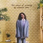 THE-PAINS-OF-GROWING-DELUXE-VERSION-3033-CD