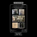 THE-SILVER-CORD-LUCKY-RAINBOW-2LP-41-Vinyl