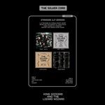 THE-SILVER-CORD-STD-VINYL-40-Vinyl