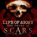 THE-SOUND-OF-SCARS-LP-245-Vinyl