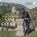 THE-WONDERFUL-WORLD-OF-SAM-COOKE-VINYL-82-Vinyl