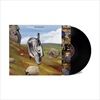 THIS-COULD-BE-TEXAS-VINYL-82-Vinyl