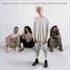 THIS-IS-HOW-THE-WORLD-ENDS-2LP-20-Vinyl