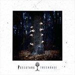 TREEHOUSE-transparent-Cloudy-clear-2LP-82-Vinyl