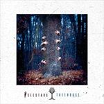 TREEHOUSE-transparent-purple-2LP-81-Vinyl