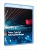 Taking-The-Pulse-Live-In-Verona-BR-85-UHD