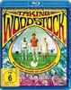 Taking-Woodstock-3806-Blu-ray-D-E