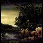 Tango-In-The-Night-Remastered-1053-Vinyl