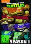 Teenage-MNT-Seas1-394-DVD-D